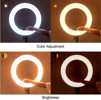 10 Inch High Quality Ring Light With Three Light Modes