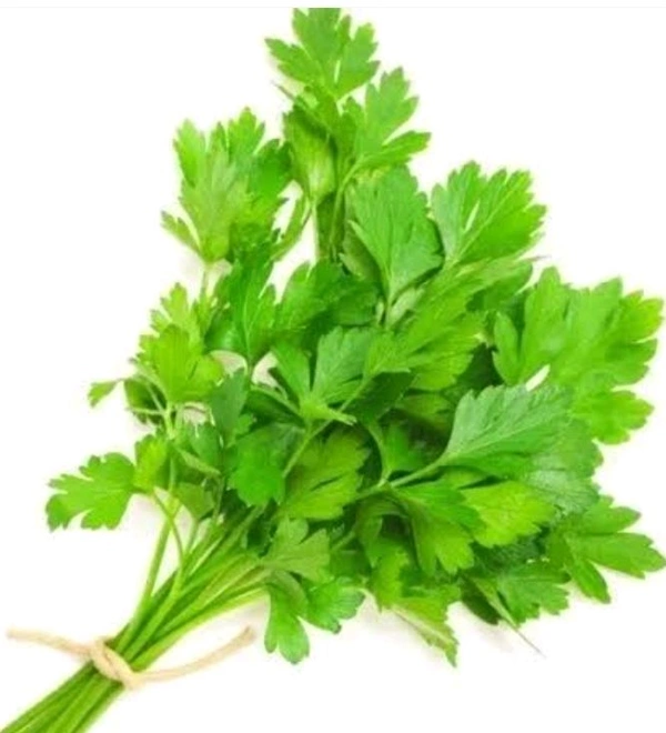 Fresh Coriander (Hara Dhania) - 100g
