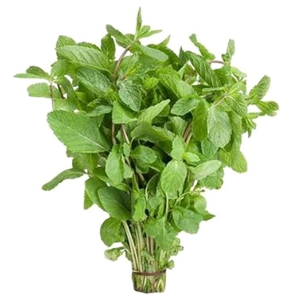 Fresh Mint (Pudina) - 100g