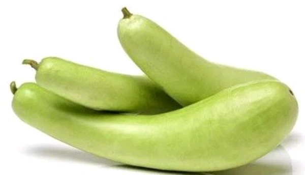 Fresh Bottle Gourd (Loki) - 1 Pc (400-600G Approx.)