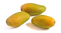 Fresh Mango (Dasheri) - 1Kg