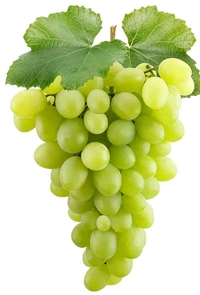 Fresh Grapes (Angoor)-500Gm - 500g
