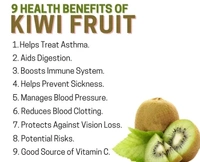 Fresh Kiwi-1pc - 1pc
