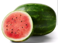 Fresh Water Melon (Tarbooj)-1pc - 1PC - (1.5 - 2.5 KG)