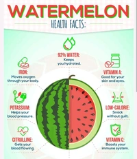 Fresh Water Melon (Tarbooj)-1pc - 1PC - (1.5 - 2.5 KG)