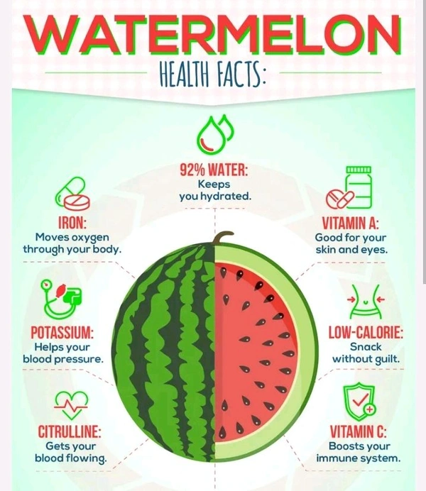 Fresh Water Melon (Tarbooj)-1pc - 1PC - (1.5 - 2.5 KG)