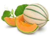 Fresh Musk Melon (Kharbooja)-1pc - 1PC -(500G-1Kg)