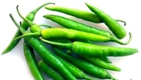 FRESH GREEN CHILLI 100G