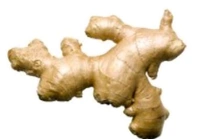 Fresh GINGER 100G