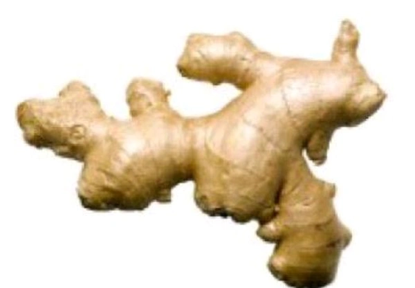 Fresh GINGER 100G