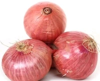 FRESH ONION (Pyaaz) 500g - 500g