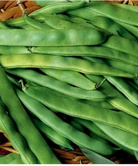 LIMA BEANS-250 Gm - 250GM