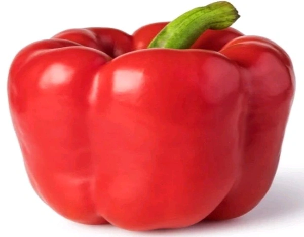 RED BELL PEPPER- 1PC - (120-150Gm)