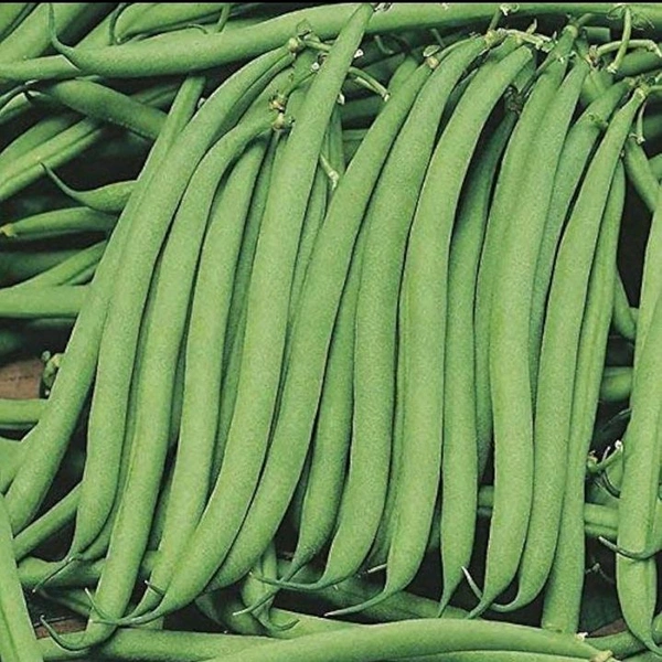 Fresh French Beans - 250gm