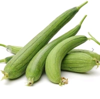Fresh Satputiya  - 250Gm
