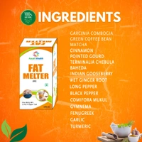 Only Ayurved's Fat Melter Juice