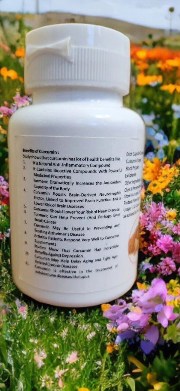 Only Ayurved's Curcumin Capsules