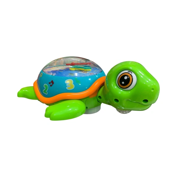 Clock Turtle