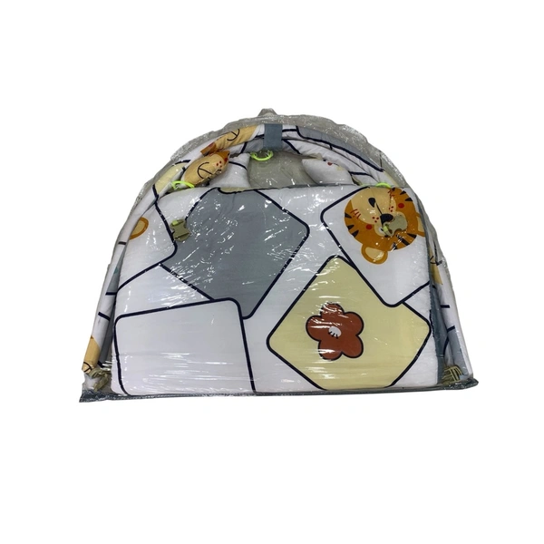 Play Gym with Mosquito Net - Gray