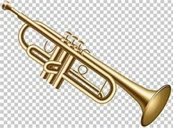 Musical Instruments