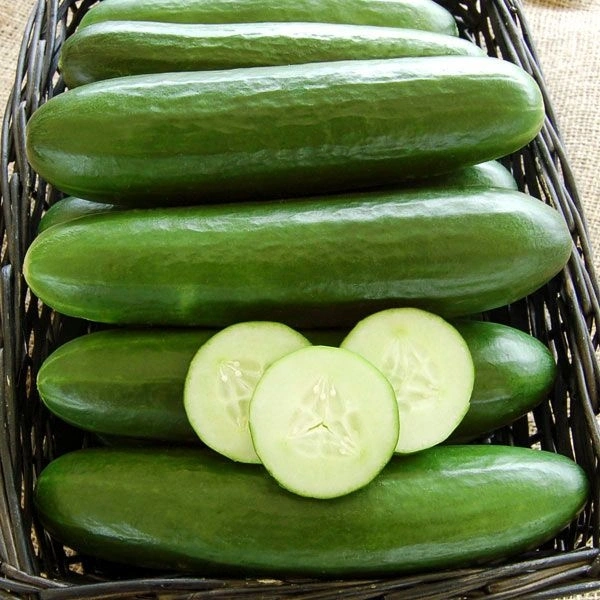 Cucumber  - 500 g