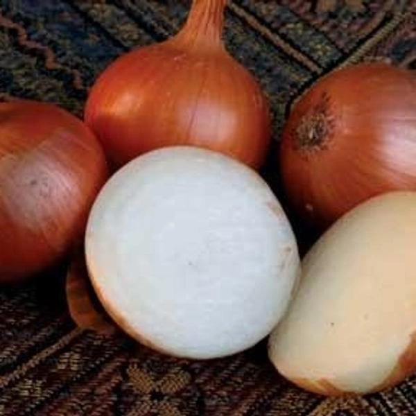 Onion - 1kg