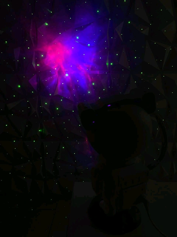 Astronaut Robot