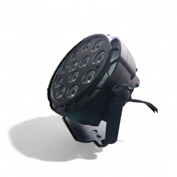 PAR light (12LED)