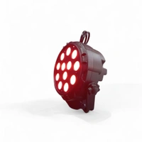 PAR light (12LED)