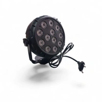 PAR light (12LED)