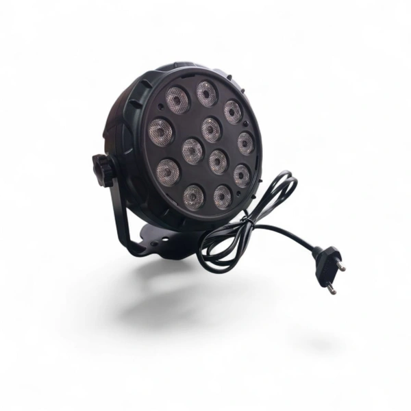 PAR light (12LED)