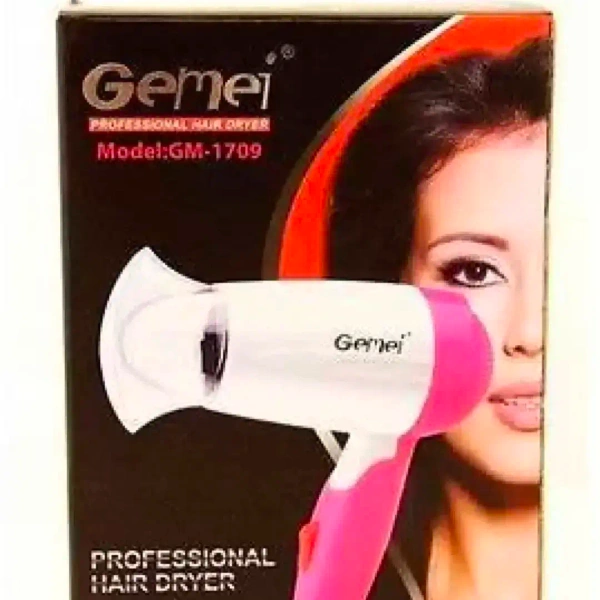 Gemei Hair Dryer (1709)