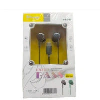 Hitage type C earphone