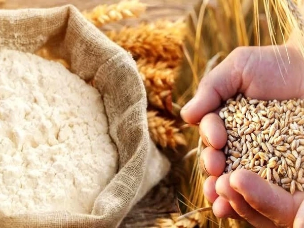 Wheat Flour ( गेहूं का आटा )