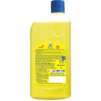 Lizol LIZOL - 500ml, Floor Cleaner