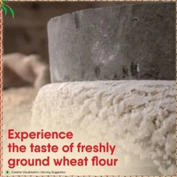 FORTUNE Chakki Fresh Atta (Whole-Gehuro otta)  (10 kg) - Flour Atta