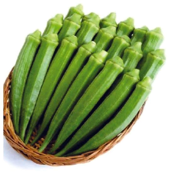 Ladies Fingure - Japanese Laurel, 1 Kg