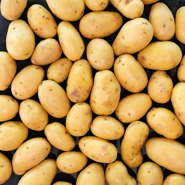 Potatoes - Raw Sienna