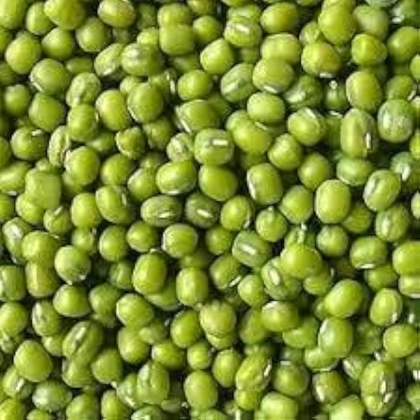 Mung - Green