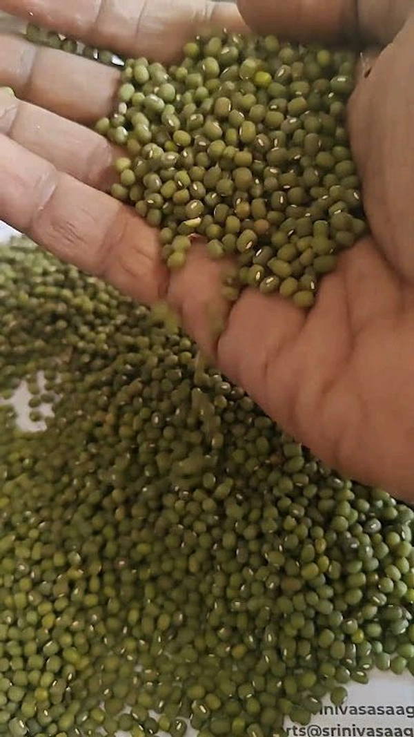 Mung - Green