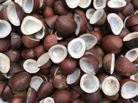 Dry Coconut - 1 Kg