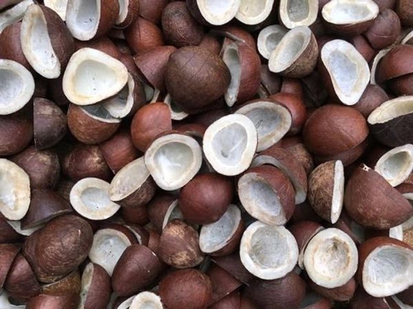 Dry Coconut - 1 Kg