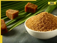 Jaggery Powder 500 Grams - 500 Grams