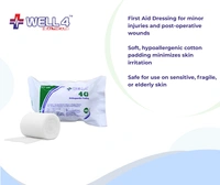 Gamjee Roll | 15cm * 2.7 m