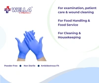 Nitrile Blue Gloves | Powder Free - Small