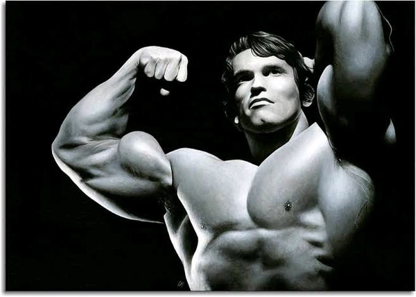 Arcon's  Whey Pro Advance Mass Gainer - 1kg