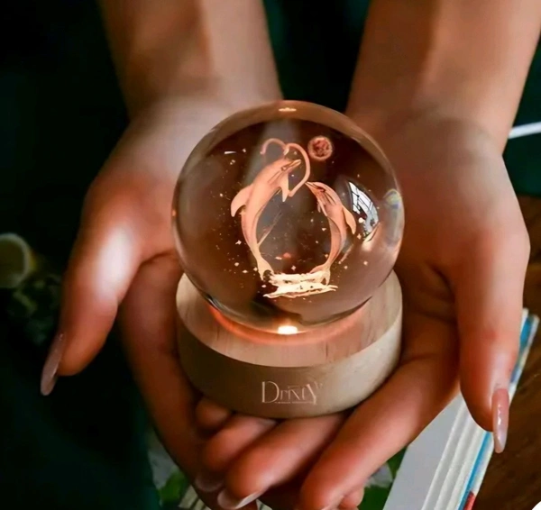 Cute Dolphin 3D Crystal Ball