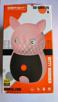 WIRELESS SPEAKER - Pelorous
