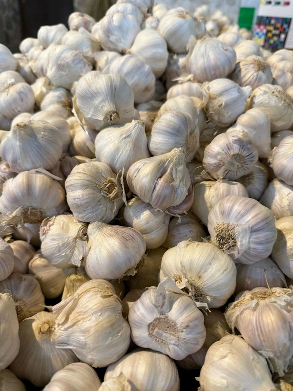 Garlic (લસણ) - 250 GM
