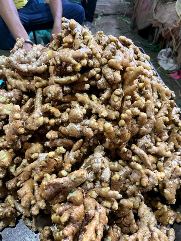 Ginger (આદુ) - 100 Gm